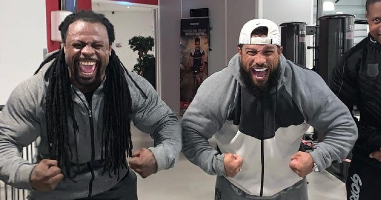 罗利温克拉三头训练,罗利温克拉比赛