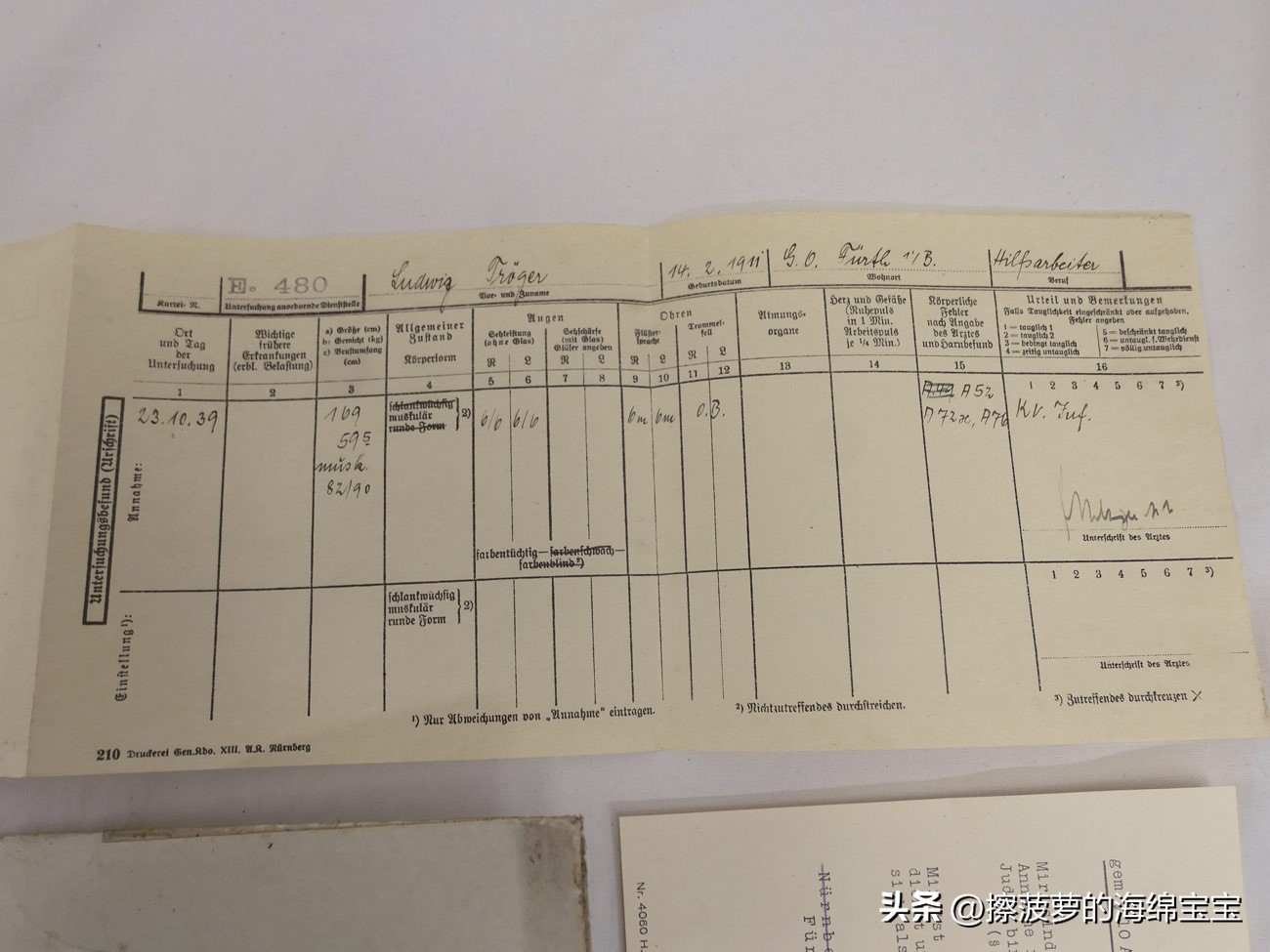 二战时德国军人的肩章,二战德国兵种领章