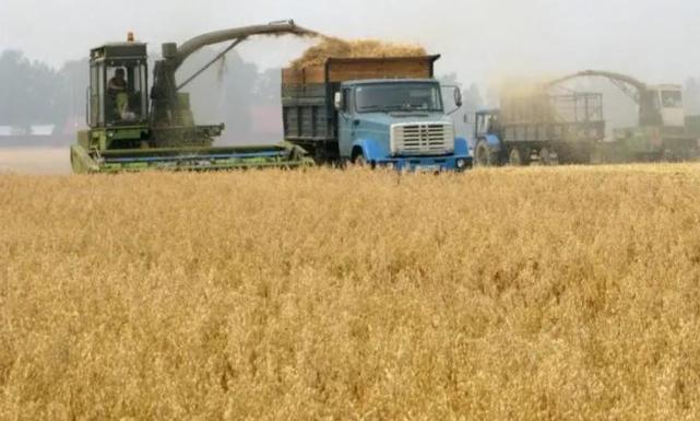 乌克兰曾经的实力有多强,现在的乌克兰到底实力怎么样