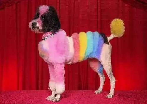 捷克——你所不知道的国家冷知识