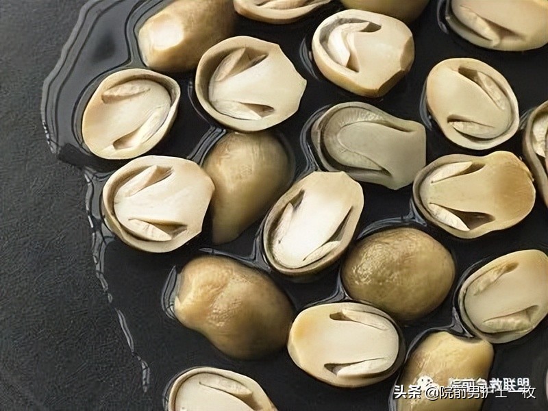 蘑菇中毒最常见品种,有毒蘑菇的八种识别方法