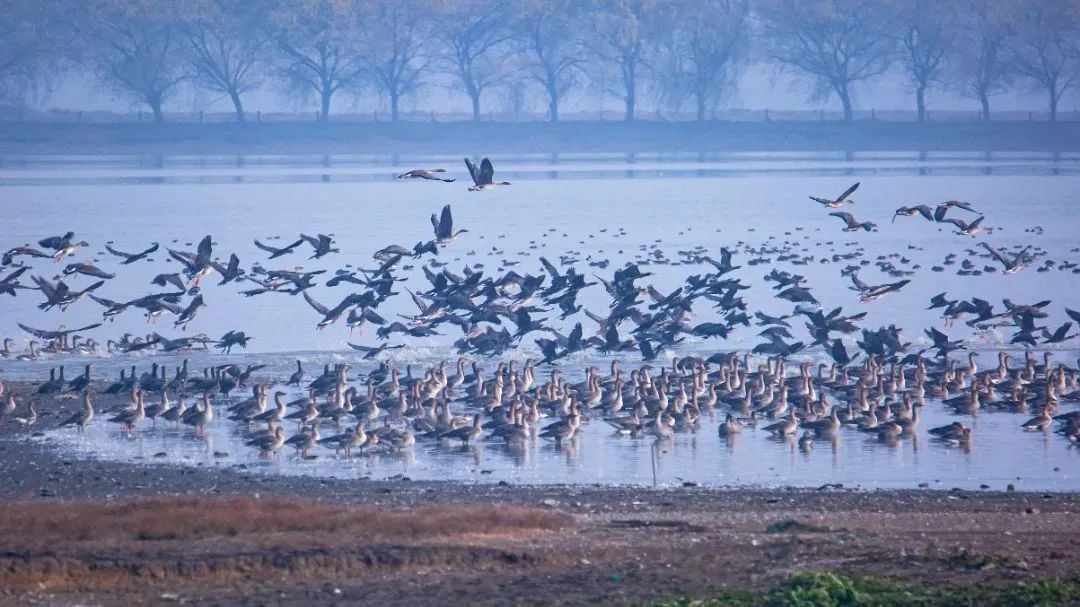 摄影家的2022年|张斌:心朝阳光向美而行