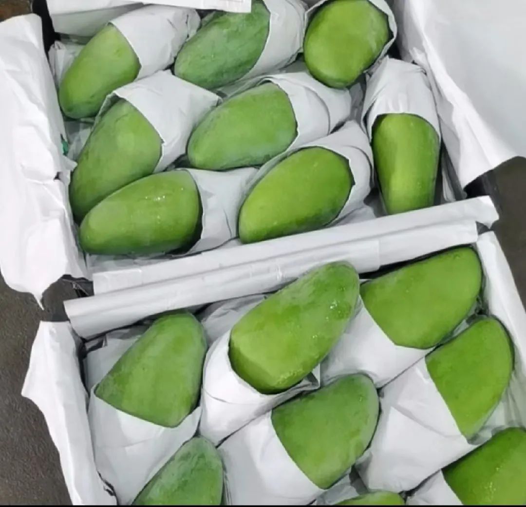 一棵大荔枝树一年能赚多少钱,一棵荔枝树卖几十万