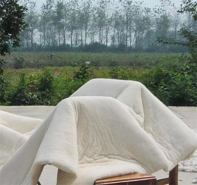 被子有螨虫怎么办,被子有螨虫怎么解决