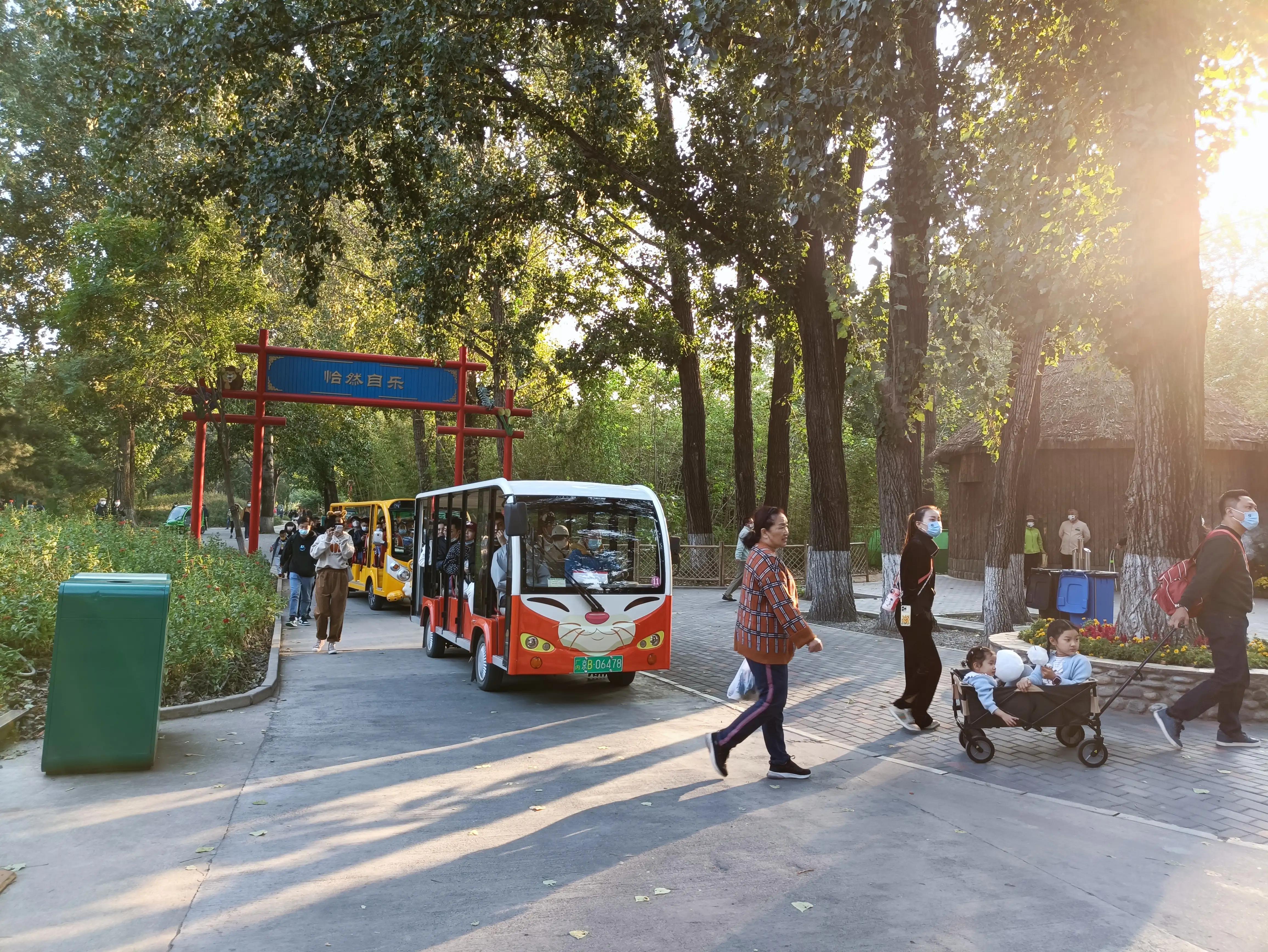 北京动物园和北京野生动物园区别,北京野生动物园狗妈妈和老虎狮子