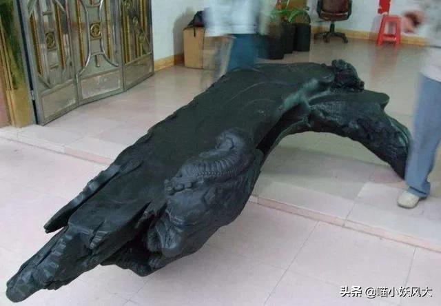 四川今年挖出乌木视频,四川梓潼挖出13米长千年乌木