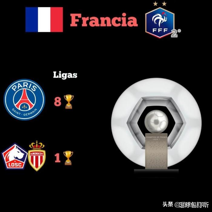 八大冠军夺冠视频,八大联赛排名