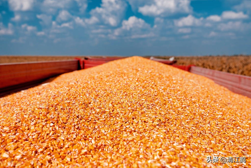 十种种子传播的方法,种子的传播方法有几种类型