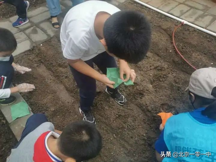 北京上地实验学校2018,北京市上地实验学校