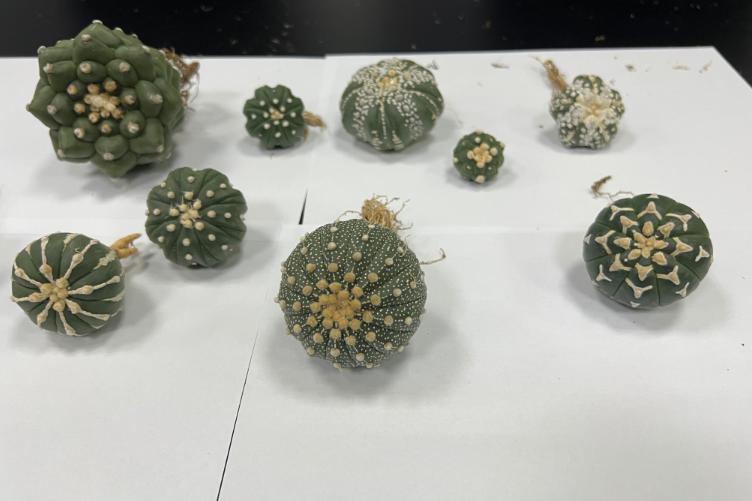 这些东西看起来“人畜无害”，竟然都是*品毒**！