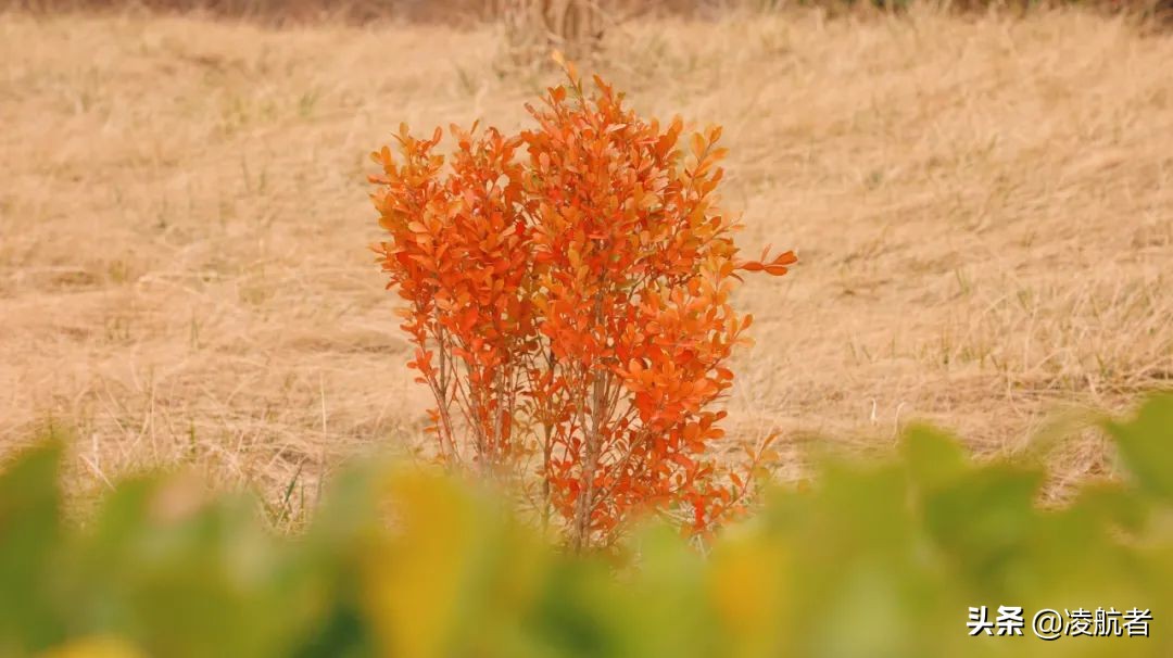 共赴春之约携手新征程,共赴春天之约携手砥砺前行