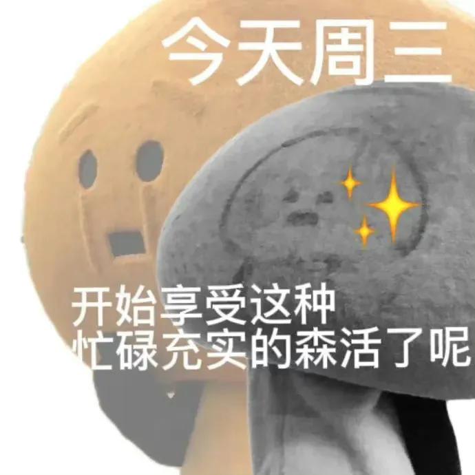 表情包今天你练车了吗,表情包今天是周五