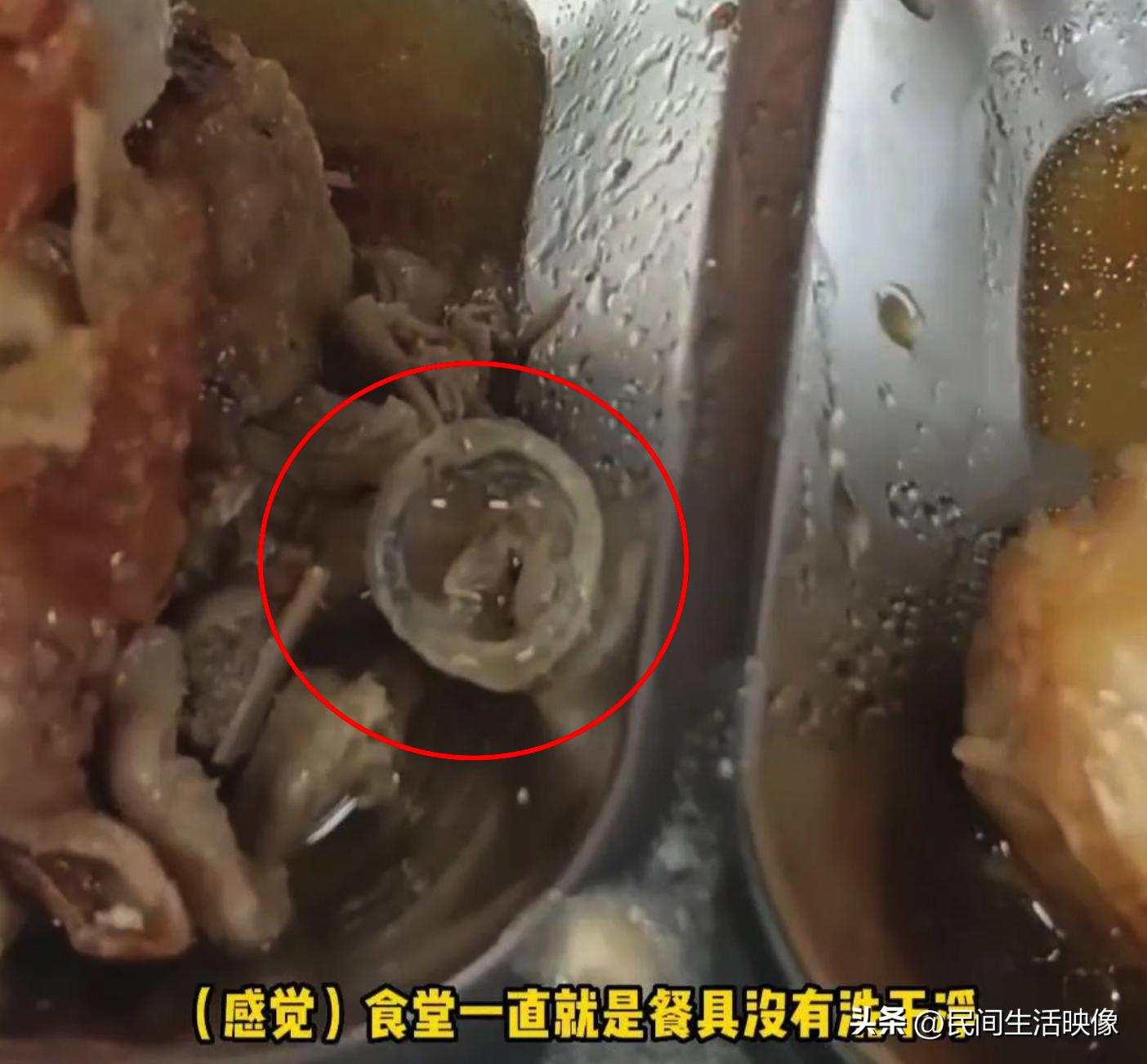 一场关于“广州增城学校食堂”异物的争议：是鸭眼膜还是避孕套？