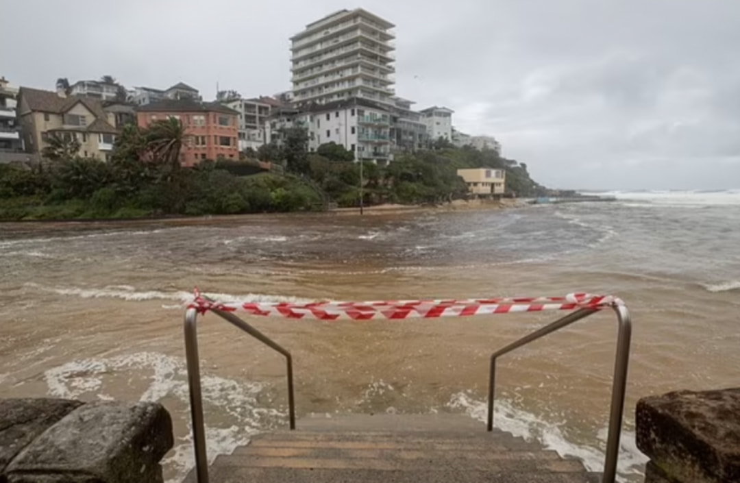 澳女子游泳,澳大利亚女性游泳被查