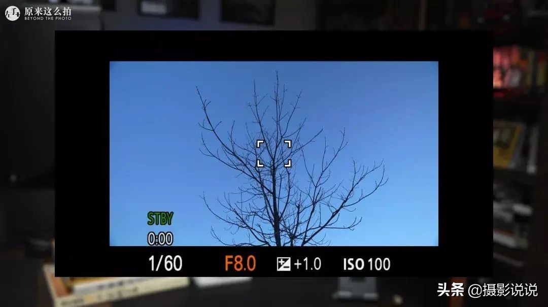 张千里推荐镜头,张千里视频直播