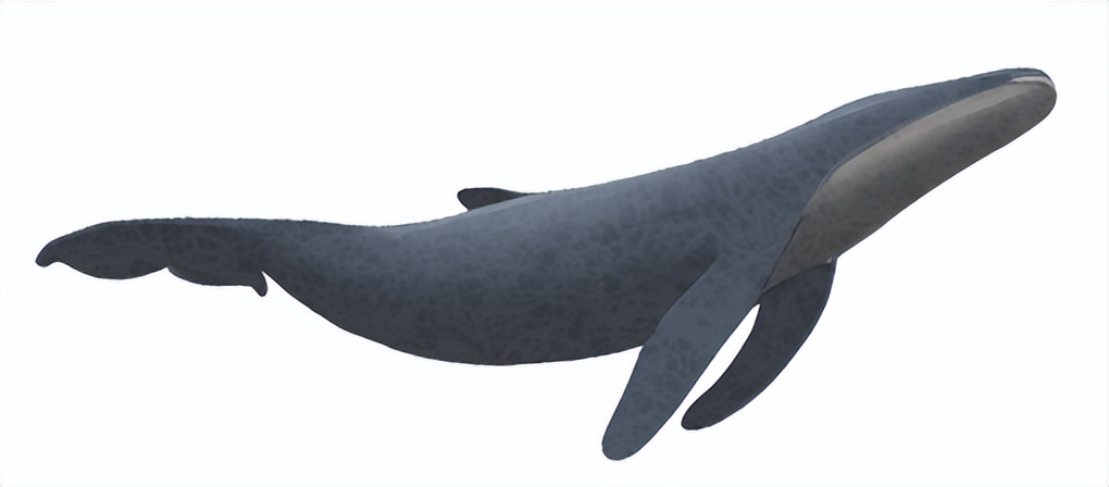 我和私生子弟弟的和解之路