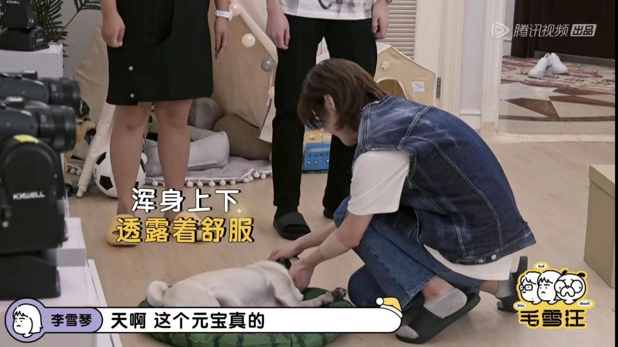 毛雪汪reaction鹿晗,鹿晗毛雪汪预告完整版