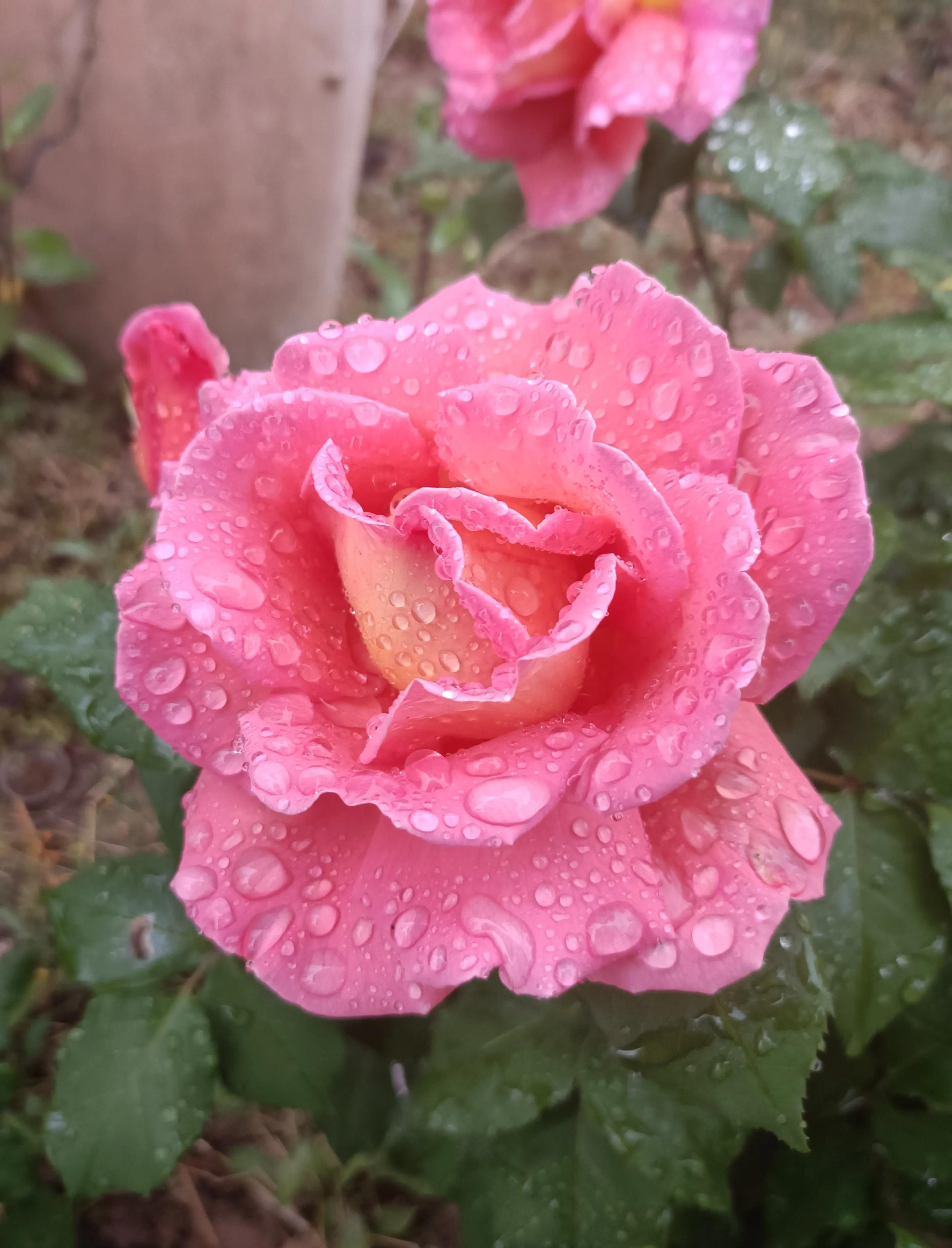 南京哪些靠谱公司招大专,南京值得推荐的公司