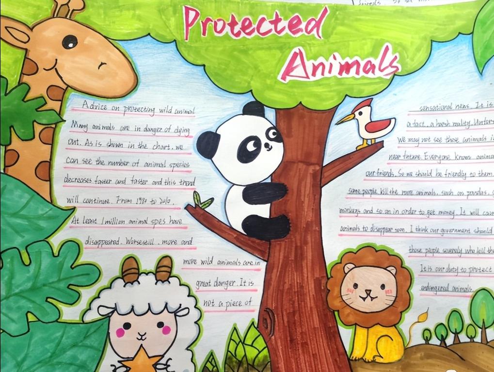 保护动物的英语手抄报六年级图文,英语保护动物手抄报六年级内容