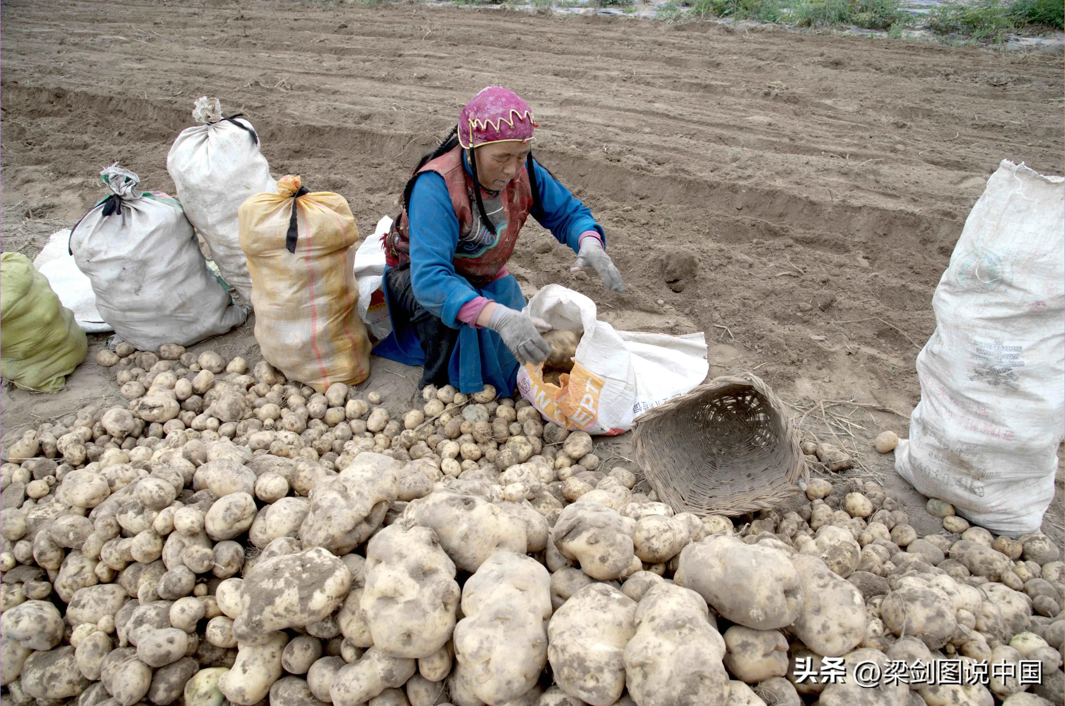 走进大美甘肃我的家，影像记录甘南藏族自治州，卓尼县民族文化。