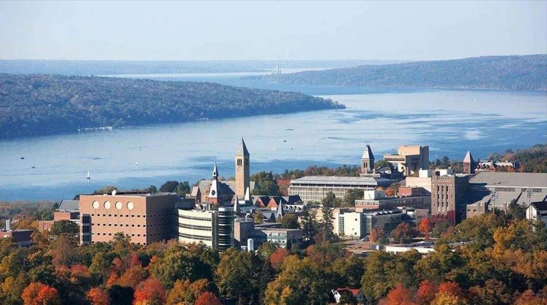 斯坦福大学博士后招聘,瑞典大学博士后招聘