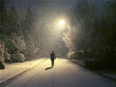 鍏荤埗璁茶堪浜茬敓鐖舵瘝,鍏荤埗璁茶堪浜茬敓鐖舵瘝杩囧線