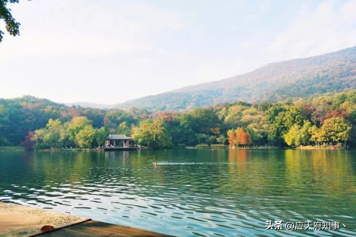 来南京不能错过的小众打卡地,南京江宁小众打卡点