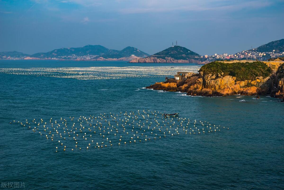 水产养殖类还有赚钱的机会吗,水产养殖的前景和利润