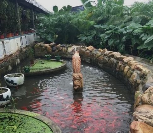 沈阳温泉洗浴中心排名前十,沈阳附近温泉度假村哪里好