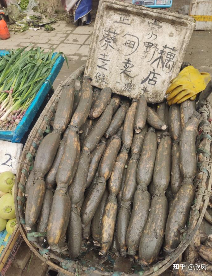 2-3天适合去哪里旅游湖北,湖北十堰旅游攻略三日游