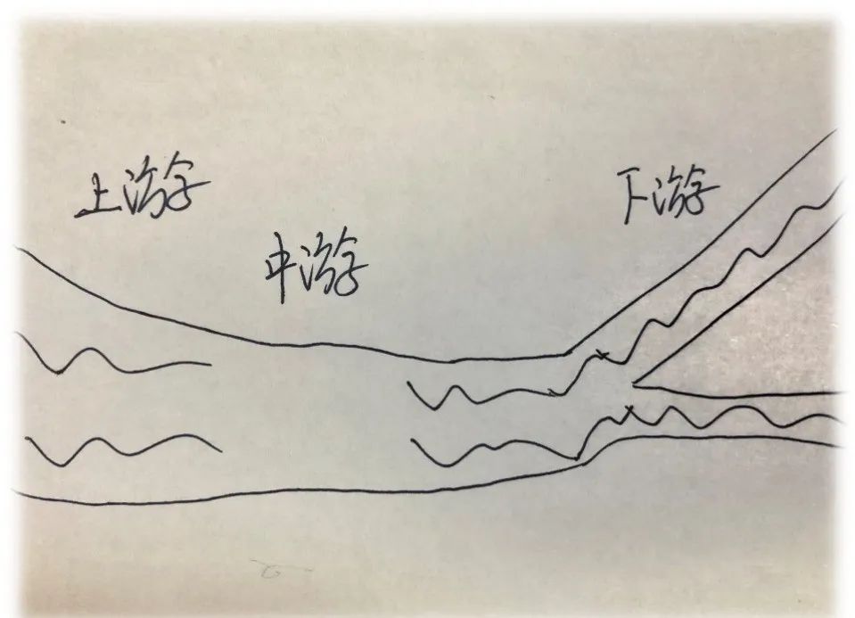 骨刺骨质增生挂什么科,骨刺骨质增生图片大全