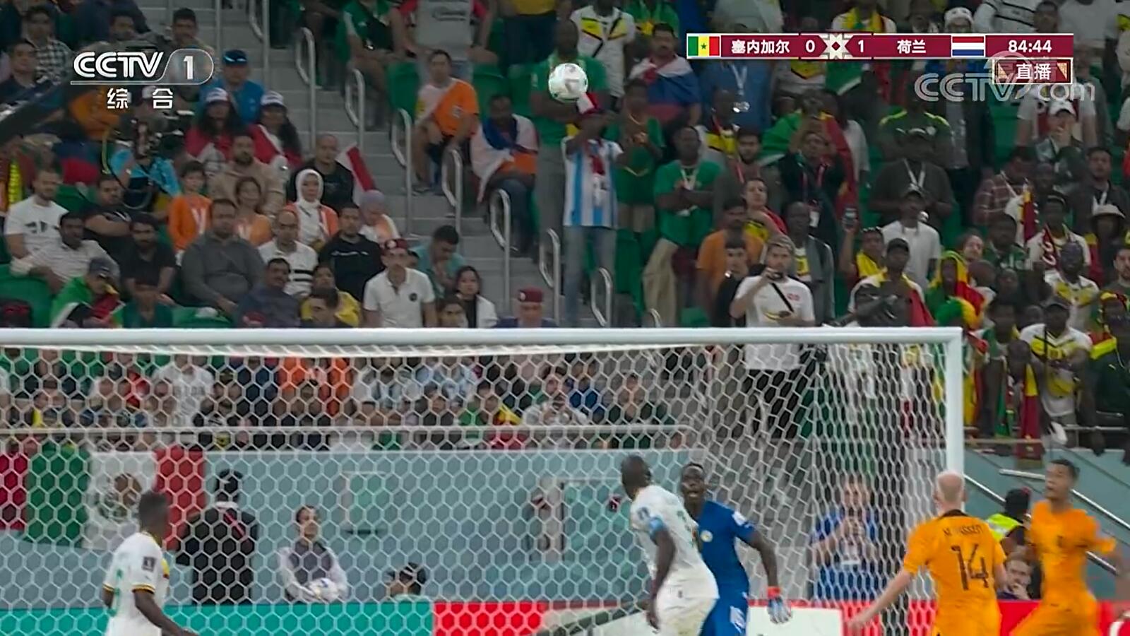 卡塔尔世界杯球员感染新冠怎么办,卡塔尔世界杯是终结疫情真实试验