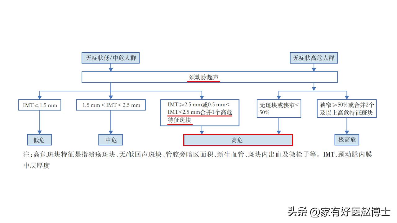 超声颈动脉可以查出什么原因,超声颈动脉斑块的危险评估