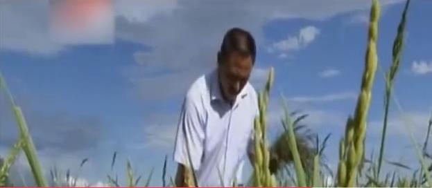 43岁男人负债2000万,内蒙古男子欠债5000万