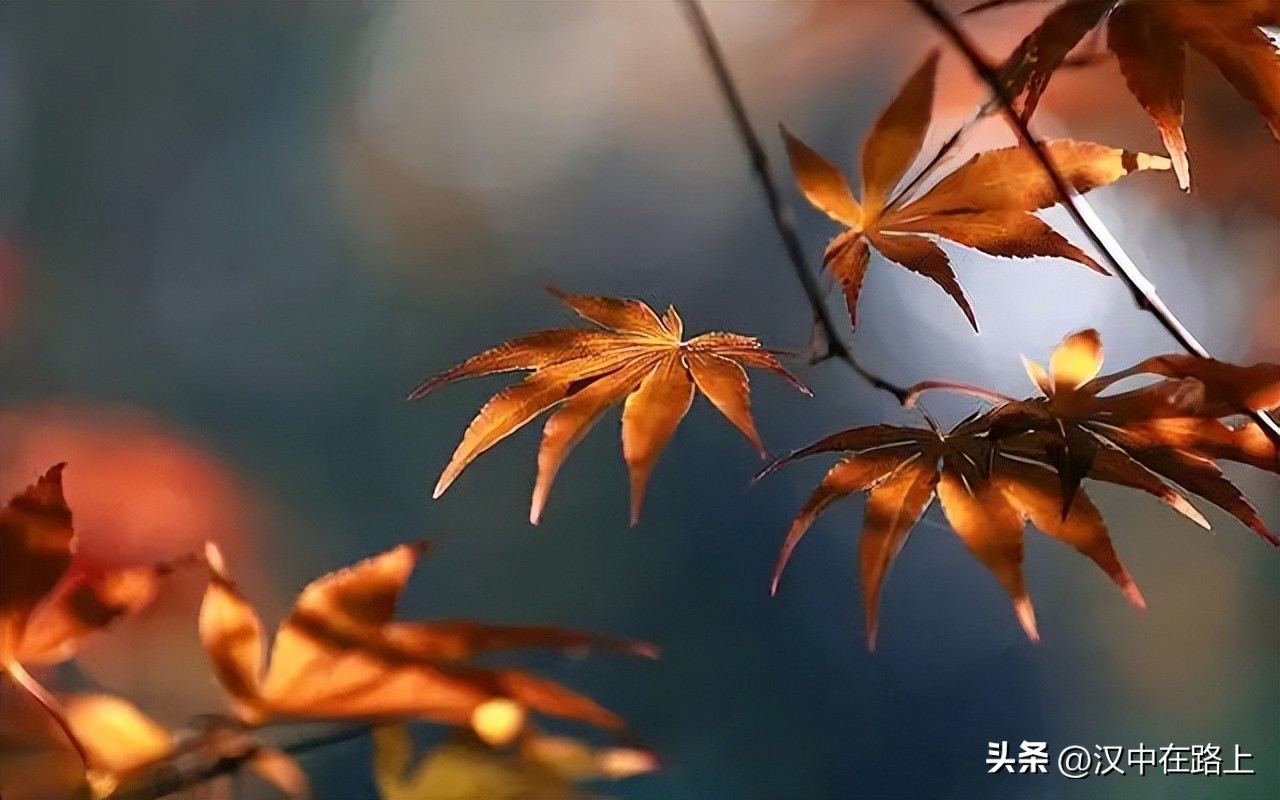 深秋古镇,寒露秋季风景