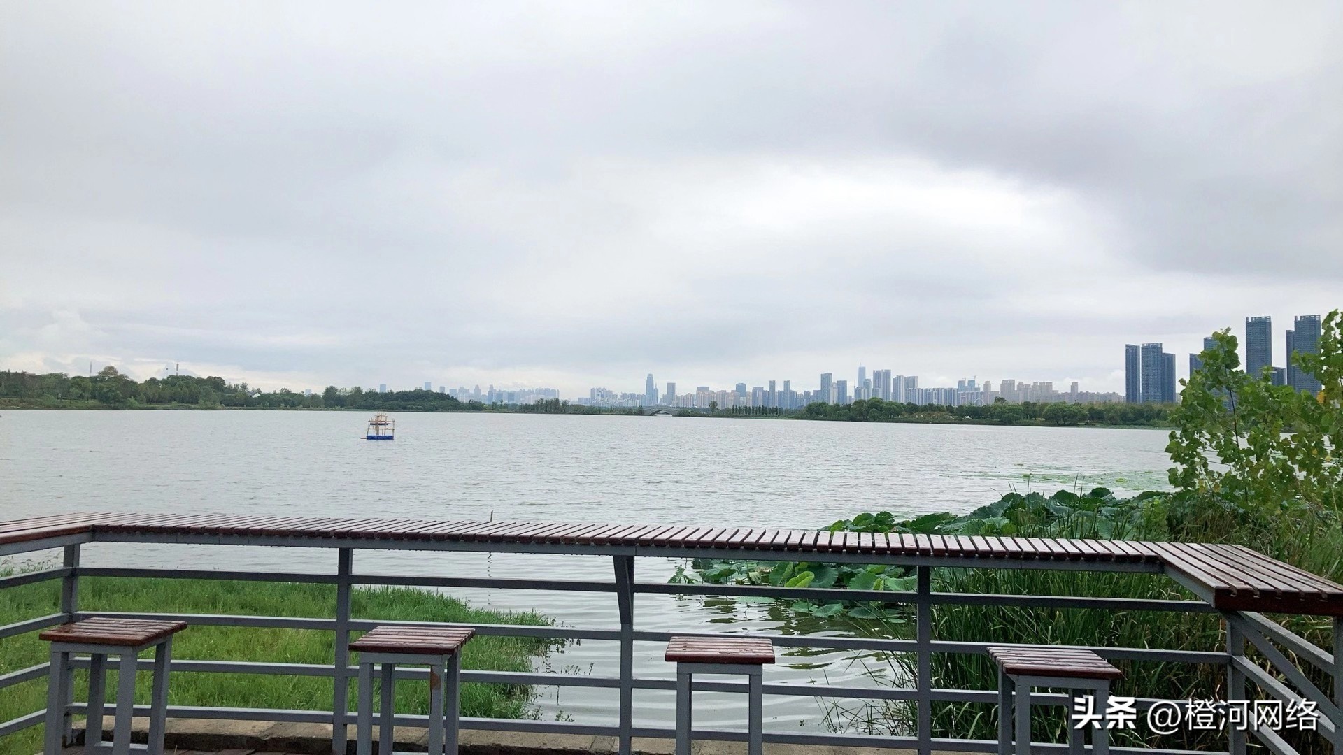 橙河海外问卷调查是真的吗,橙河网络