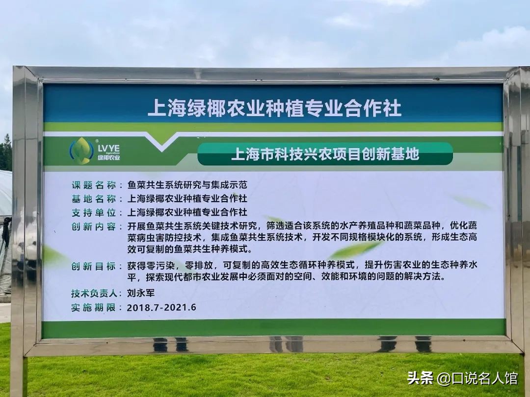 上海奇人：养鱼不换水，种菜不施肥，年入3600万，疫情在家也不愁