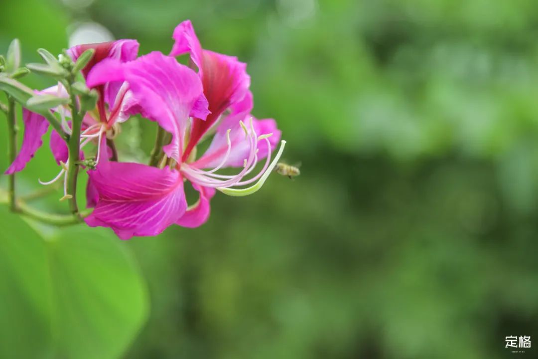 深圳百米长「纯白登山梯」，打卡绝了