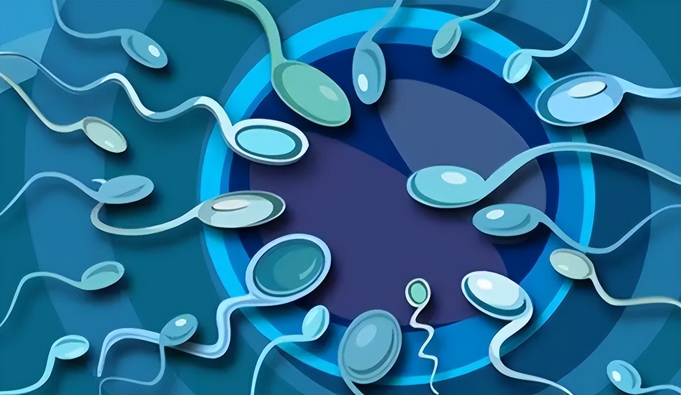 死精子症能恢复生精功能吗,死精原因治疗