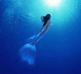 晚安谐音梗小故事,网络最新的谐音梗