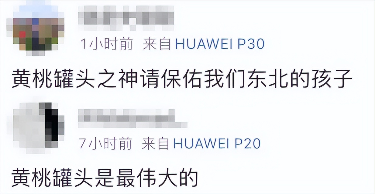 我阳了，但我抢不到布洛芬和黄桃罐头