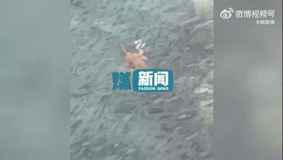 村民喝水异味发现水池有死猴尸体,楼顶蓄水池藏尸案