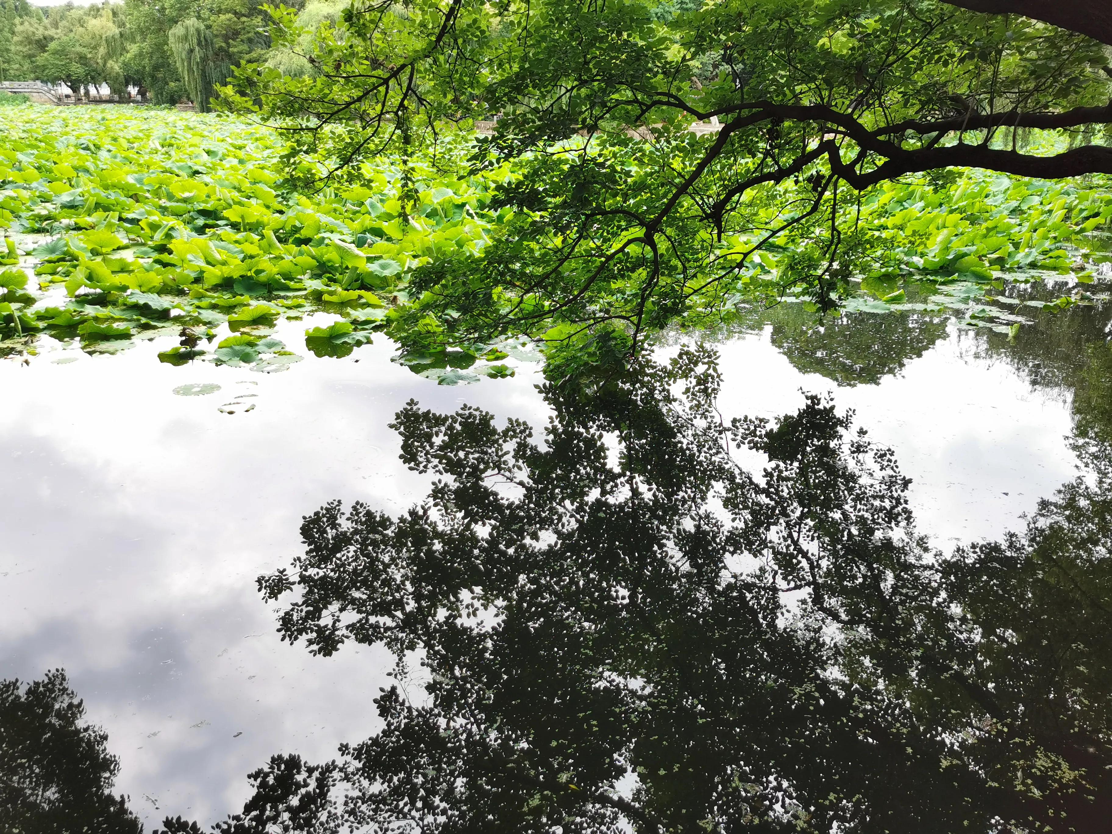 昆明一年四季有什么美景,昆明值得去的美景