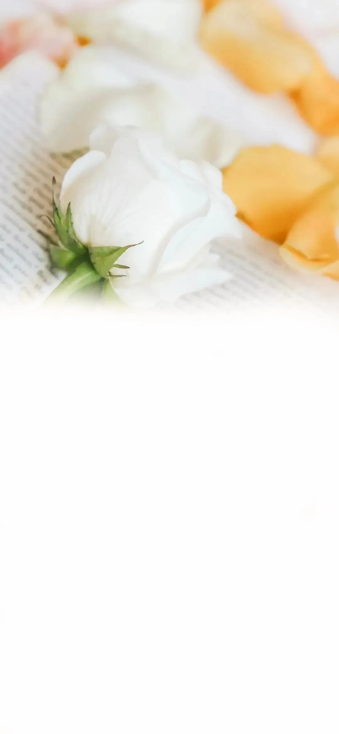 渐变晕染聊天背景图,渐变聊天背景图全屏可保存