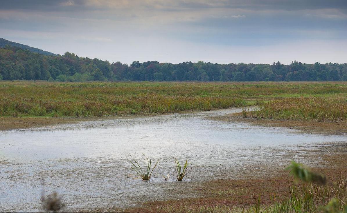 来自东北农村的机械师方力频，立志研发利国神器，拒绝卖给老美