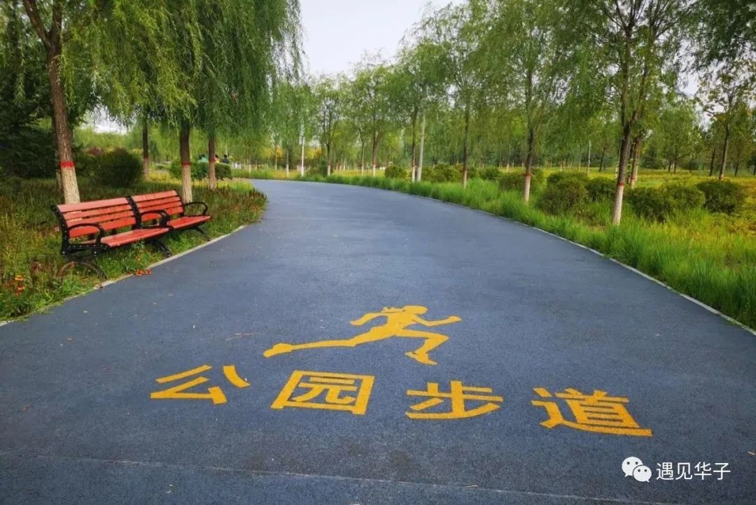 包头市台地公园景观,包头台地公园介绍