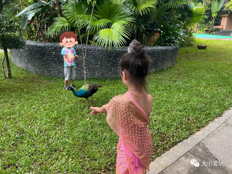 五家顶级野奢度假酒店,藏于山巅的野奢度假酒店