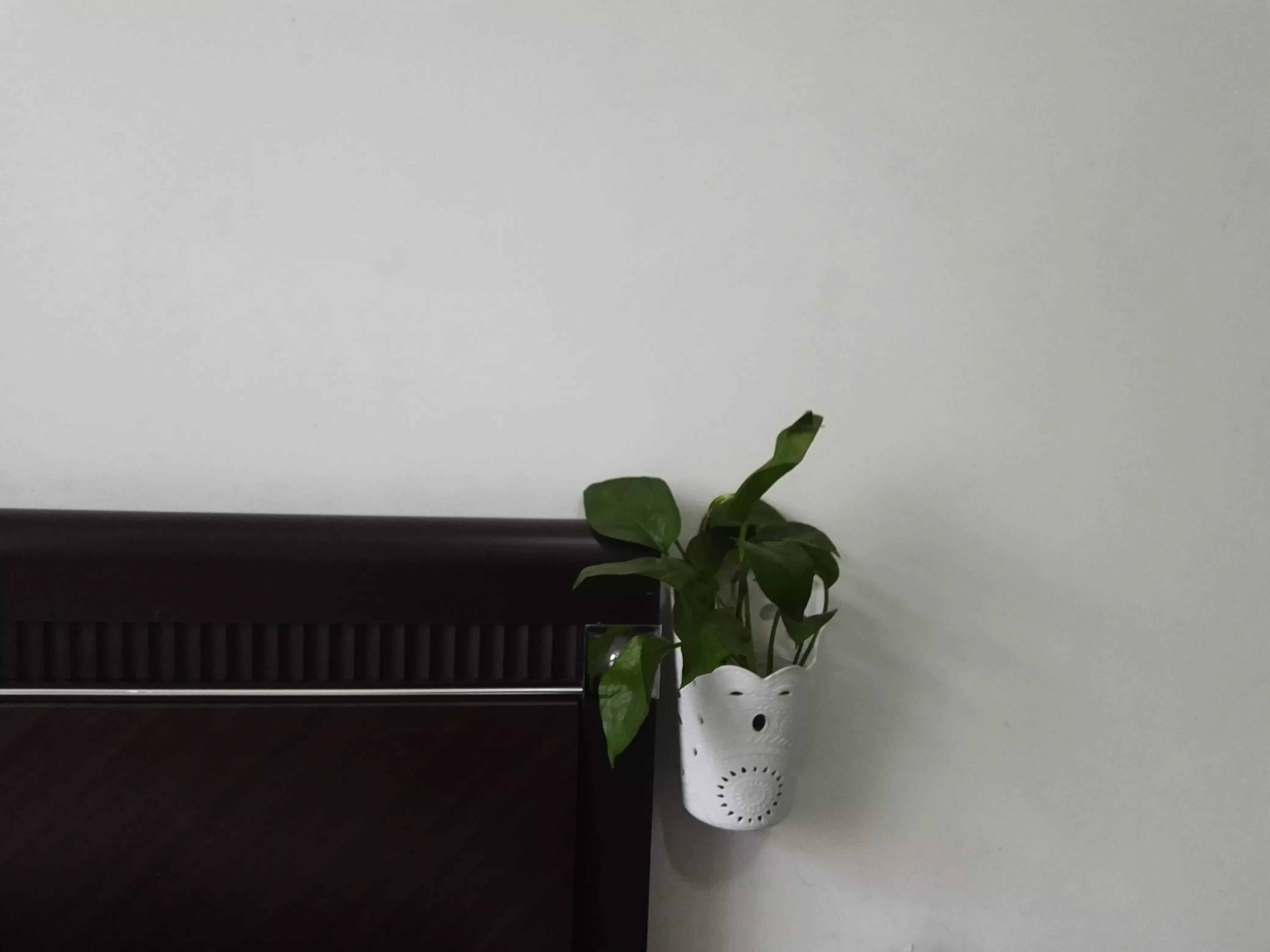 瞧！满屋都是插花，走到哪里都是春天美景