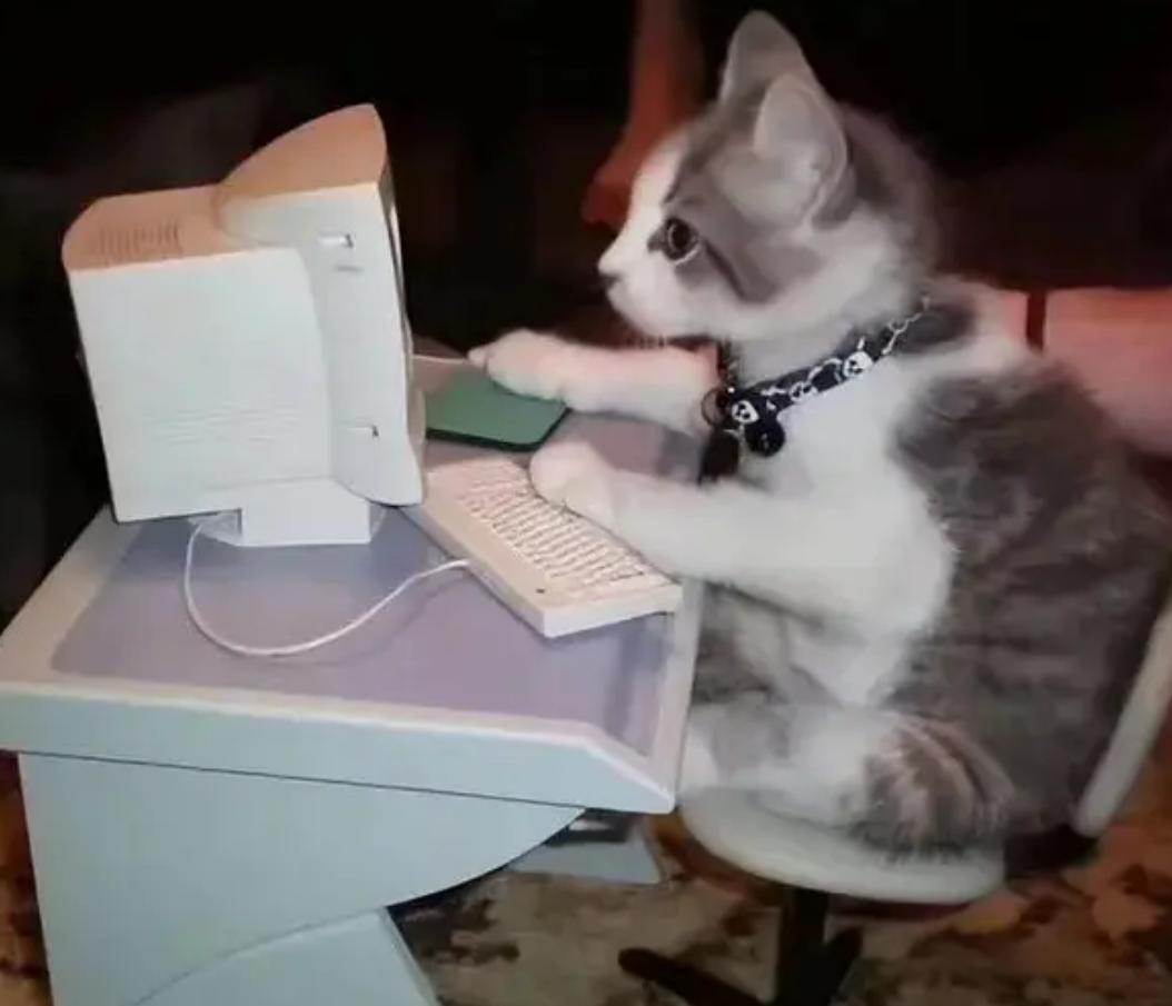 电脑高手必会技能,电脑必学的10大技能