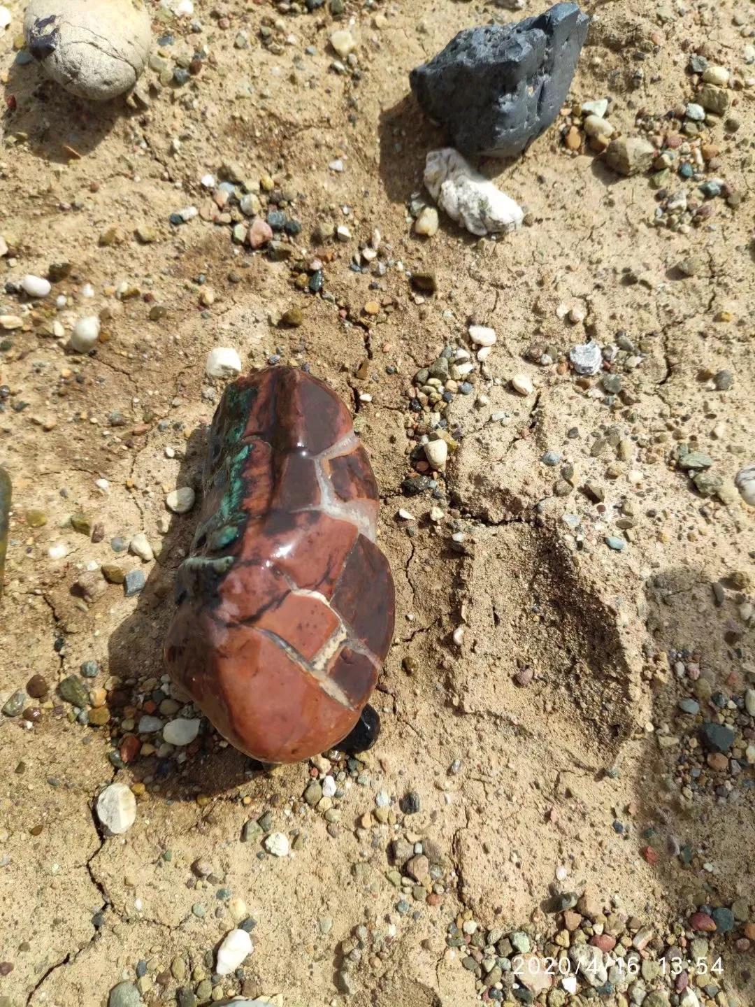 去戈壁捡石头,新疆戈壁捡石头